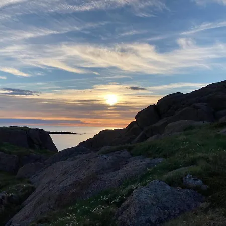 Koselig Mellom Sjo Og Fjell